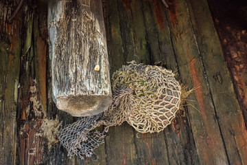 Sheathing on the old ship