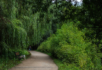 Willow alley