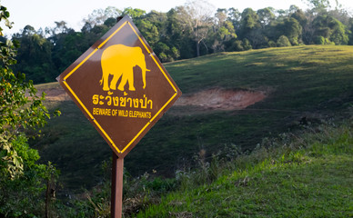 Elephants crossing the road sign