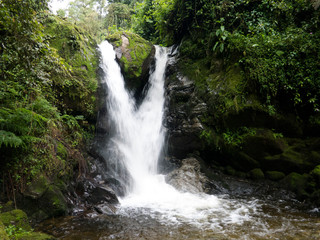 Obraz premium Waterfall in Rwenzori Rain Forest, Uganda