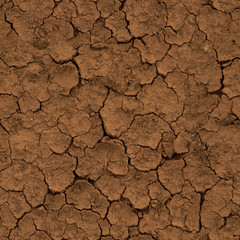 Seamless texture of dry, old land of good quality.