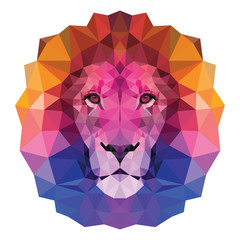 The colorful muzzle lion vector illustration with high-detailed eyes, consisting of triangles. Low poly design