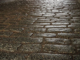 Cobblestoned walkway into old fortress.