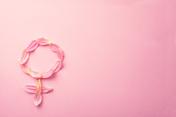 Gender Venus symbol made of beautiful flower petals on candy pink background, copy space for text