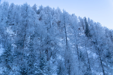 Jenner und Königsee Dezember 2016