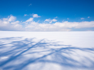 雪原に伸びる影