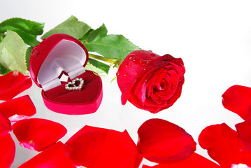 Fototapeta na wymiar Presents and red rose on white
