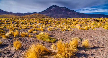 Chilean Atacama Desert