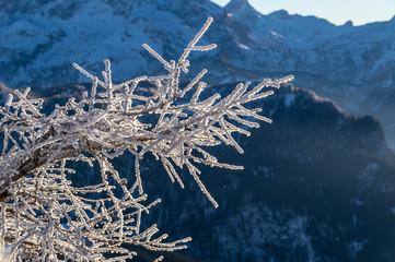 Jenner und Königsee Dezember 2016