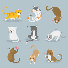 Set of cats Concept, flat design vector illustration.
