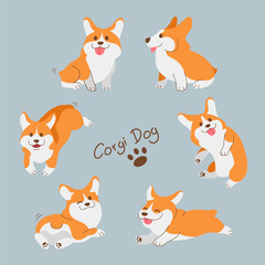 Set of dogs Concept, corgi, flat design vector illustration.