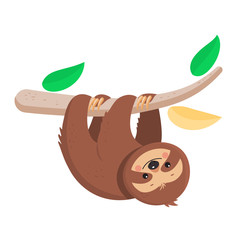 Joyful sloth hanging on a branch. Vector illustration. Cartoon slyle.Isolated on white background © romalya