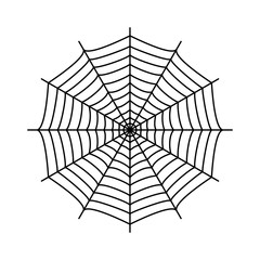 Obraz premium Cobweb. Spider's web