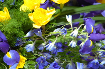 Yellow and purple flowers