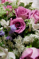 Purple and blue flowers