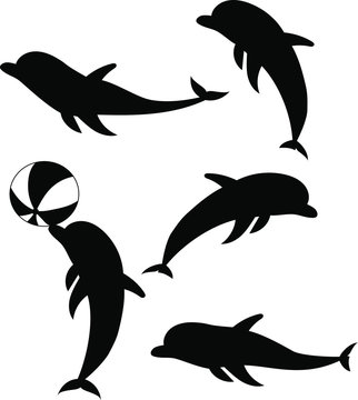 Silhouettes of dolphins. Set. Vector illustration