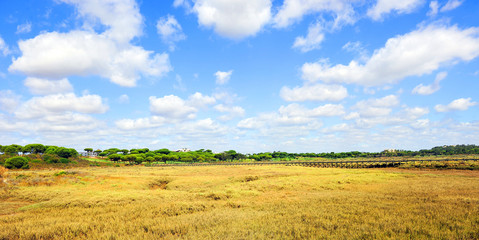 Marshes of Rio Piedras (River Stones) Natural Park in El Rompido, province of Huelva, Andalusia, Spain