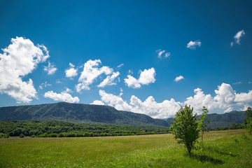Beautiful adventurous background with trees and montains on the side
