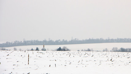 Winter landscape with snow covered countryside.Snow-covered rural fields