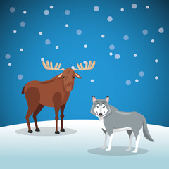 moose and wolf with snowy background image 