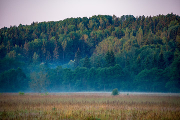 empty countryside landscape in autumn with fields and meadows and rare trees in background