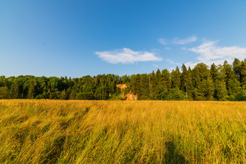 empty countryside landscape in autumn with fields and meadows and rare trees in background
