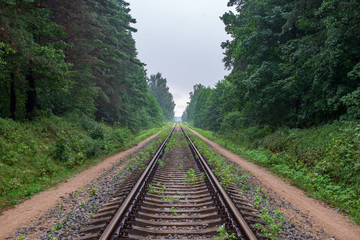 railroad tracks in misty forest