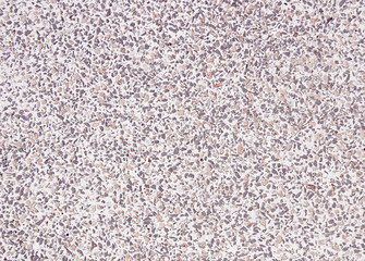 terrazzo floor old texture or polished stone for background