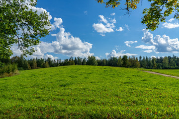 empty countryside landscape in autumn with fields and meadows and rare trees in background