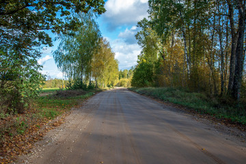 countryside road in summer with large trees on both sides