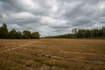 empty countryside landscape in autumn with fields and meadows and rare trees in background