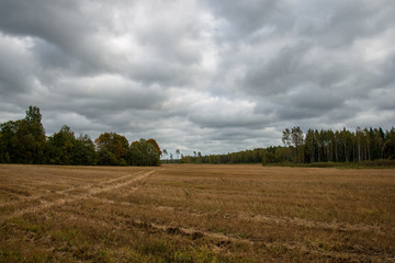 Fototapeta na wymiar empty countryside landscape in autumn with fields and meadows and rare trees in background