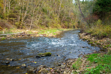 Fototapeta na wymiar rocky forest river with low stream in summer