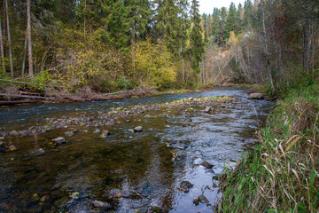 rocky forest river with low stream in summer