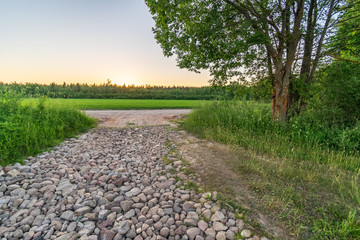 countryside road in summer with large trees on both sides