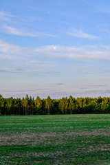 Fototapeta premium empty countryside landscape in autumn with fields and meadows and rare trees in background