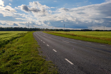 Fototapeta na wymiar countryside road in summer with large trees on both sides