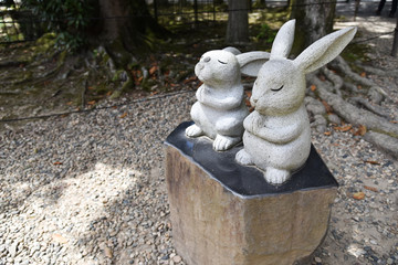 ウサギ　出雲大社