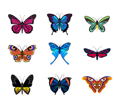 Various types of realistic butterflies: Peacock, Queen Alexandra, Mariposas Azules, Monarch Butterfly, Zygaena Trifolii, Artemida, Attacus Atlas, Kallima Paralekta Horsfield, Troides Rhadamantus
