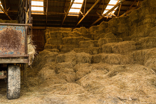 Hay bales for animal fodder stacked in a barn