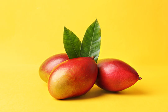 Composition with fresh mango on color background