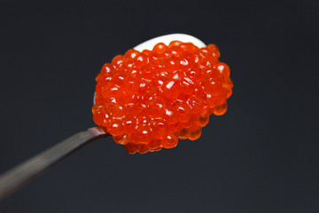 Closeup macro metal long spoon with slide red salmon caviar on black background. Top view. Concept gourmet snack seafood appetizer