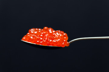 Closeup macro metal long spoon with slide red salmon caviar on black background. Side view. Concept gourmet snack seafood appetizer