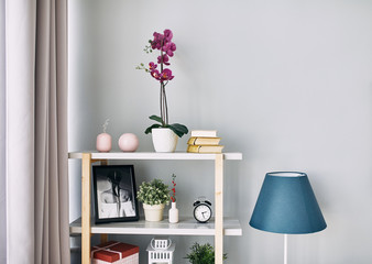 lilac flower is in a pot on the shelf. Modern interior. 