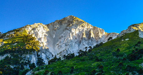 mountains and steppe