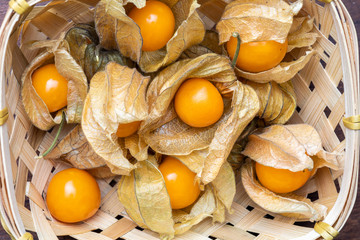 Basket with flowers and fruits of Fisalis (Physalis peruviana). Viewed from above.