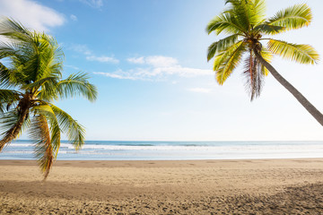 Tropical beach