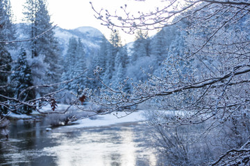 Winter in Yosemite