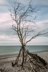 Baltic Sea coast with a knotty tree - long exposure