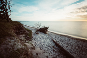 Wild baltic Sea coast with tree trunks - long exposure